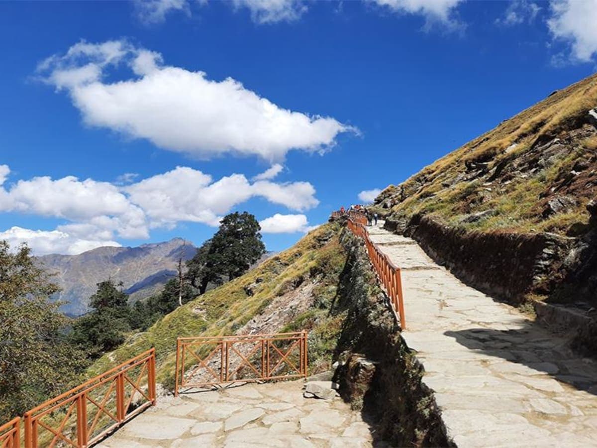 Tungnath trek — photo 3