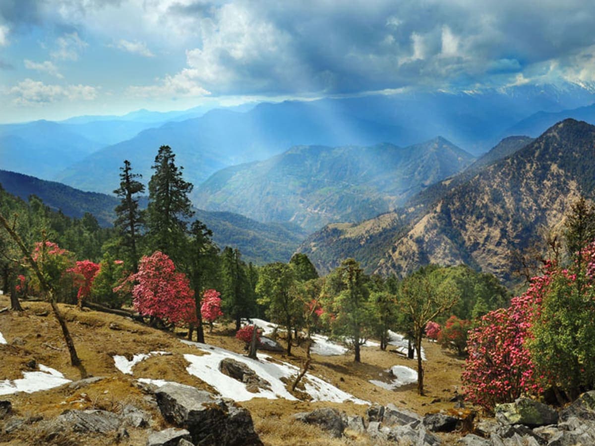 Nag Tibba — photo 4